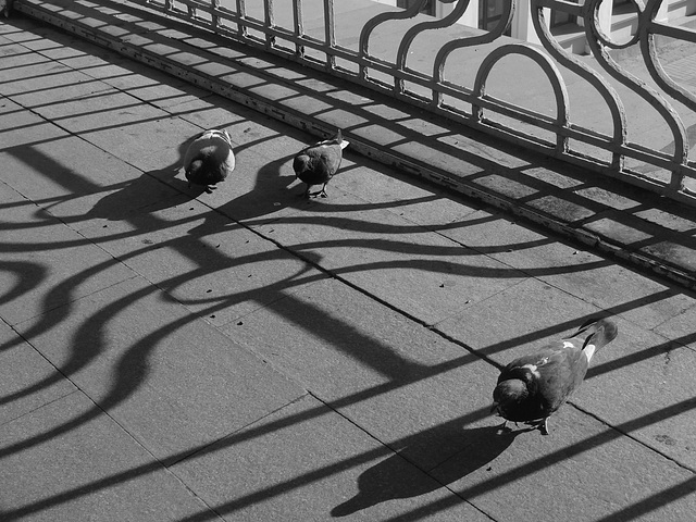 Walking though the shadows