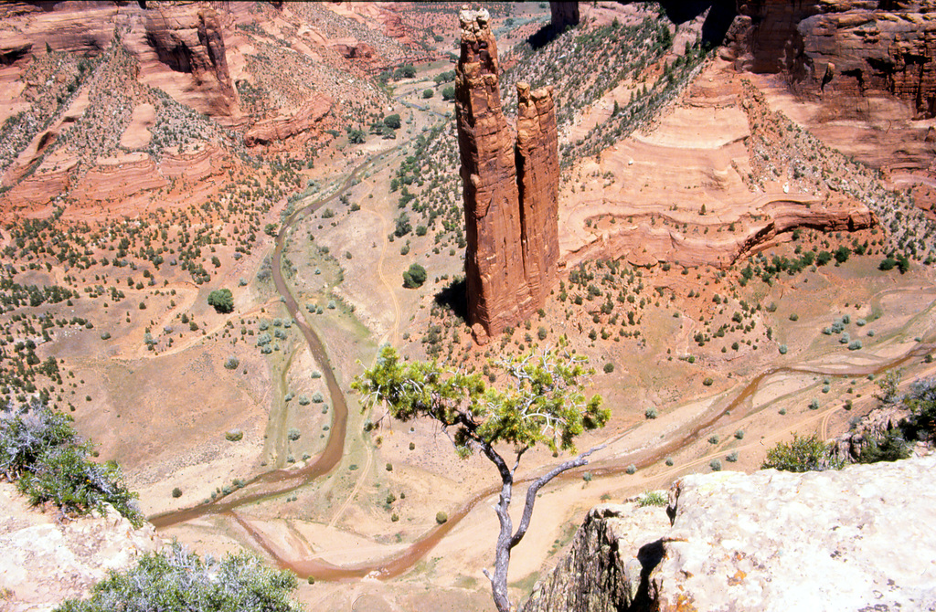 Spider Rock im Canyon de Chelly National Monument