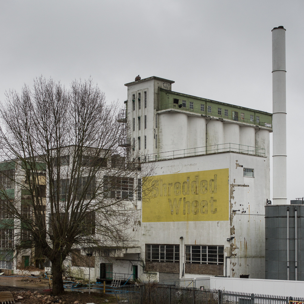 Feb 10 Shredded Wheat