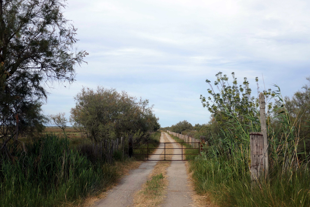 just a fence on the infinity - HFF !!!