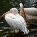 Tierpark Hagenbeck