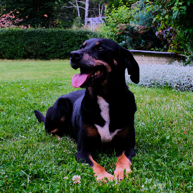 Benny, Familie, Benneckenstein