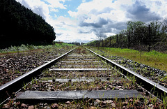 Chemin de traverses