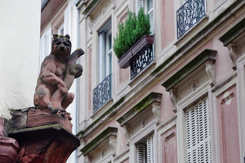 L'ours du coin