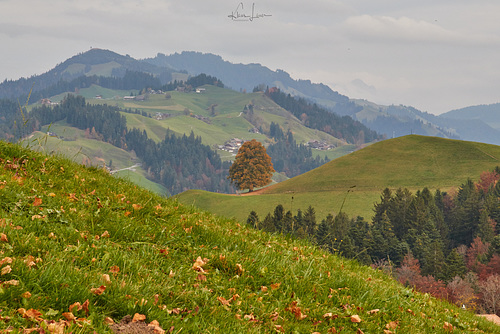 Berner Oberland