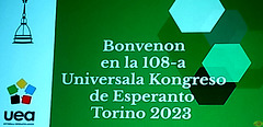 2023-07-30 02 D Torino