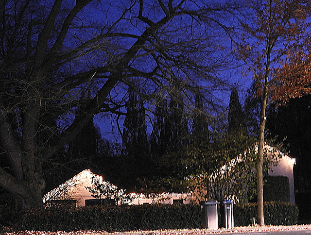 Christmas light with blue hour