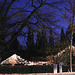 Christmas light with blue hour