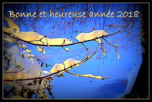 Meilleurs voeux pour 2018- Happy New Year