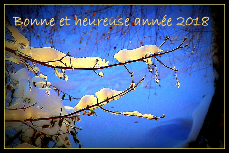 Meilleurs voeux pour 2018- Happy New Year