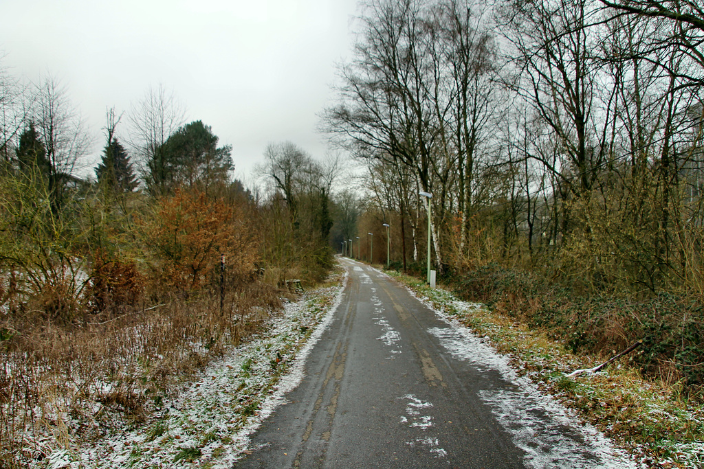 Ehemalige Zechenbahn (Essen-Byfang) / 25.01.2019