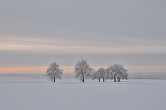 Winter in Pastell