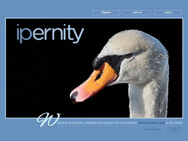 ipernity homepage with #1428