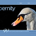 ipernity homepage with #1428