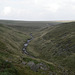 IMGP1455