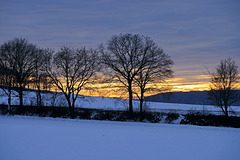 Limburg snowed  ¤  NL