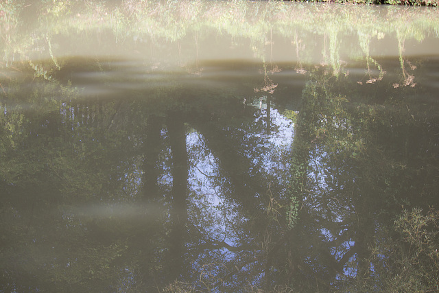 reflets sur le canal