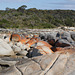 Bay Of Fires