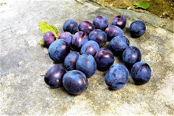 These were only the ones I could reach - but it's enough for a crumble