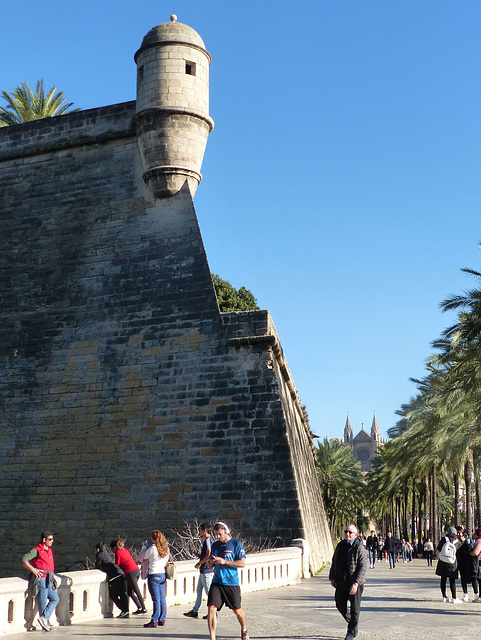 Palma - Catedral de Mallorca