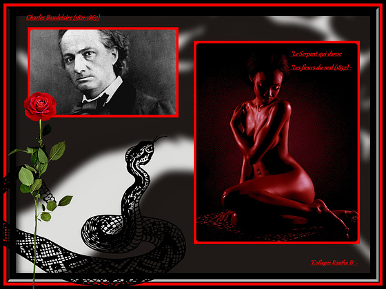 "Enjoy pleasant moments with Baudelaire******