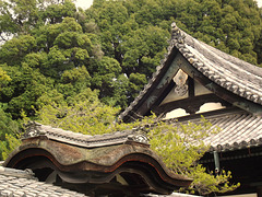 Kodai-ji Temple grounds