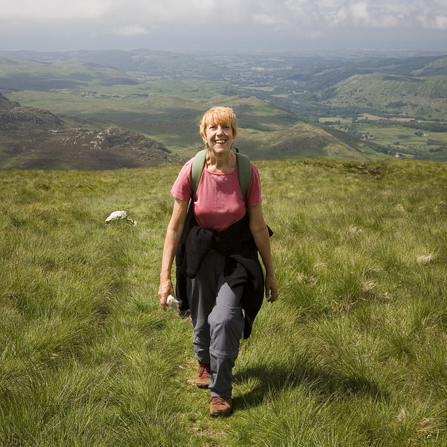 On the way up Harter Fell