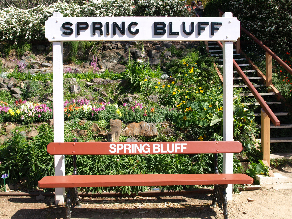 CoF SpringBluff 0917 P9201093