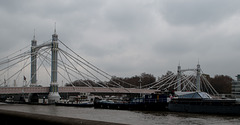 London Albert Bridge / Cadogan Pier (#0194)