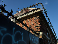 Urban Portrait 7