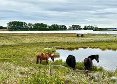 Ostseebad Insel Poel