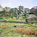 Rock Hall Cottage, The Roaches (Scan from October 1989)