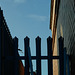 Urban Portrait 6