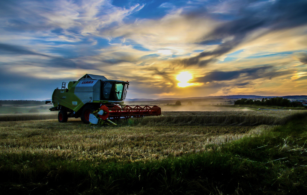 Harvest