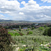 View From Piazzale Michelangelo