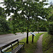 A bench, a tree, and a notice board