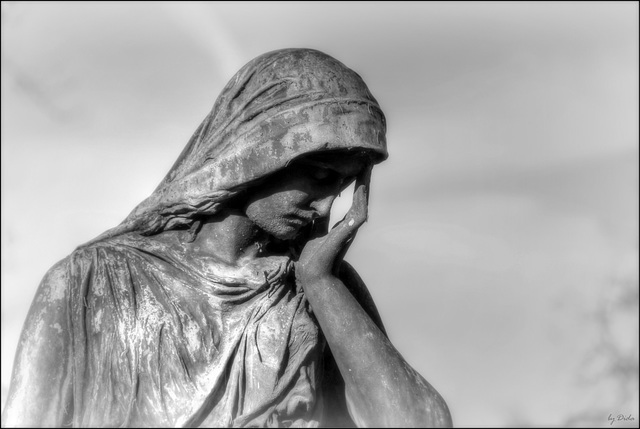 Just a Dream Just a Dream