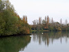 douceur d'automne