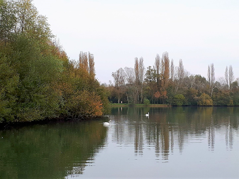 douceur d'automne