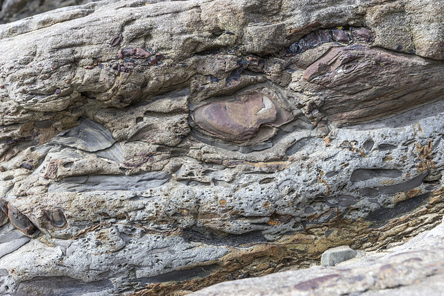 Nolton Haven ironstone pebbles in channel lag deposits