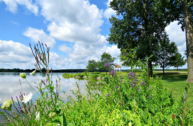 An August day at the park.