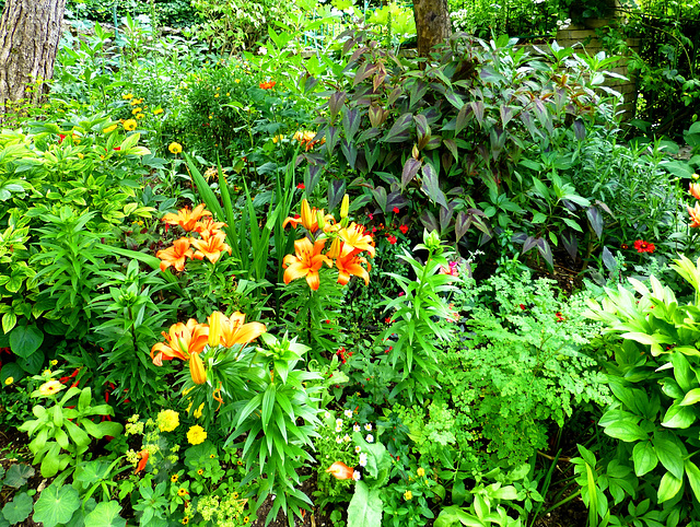 FR - Giverny - Garten von Claude Monet