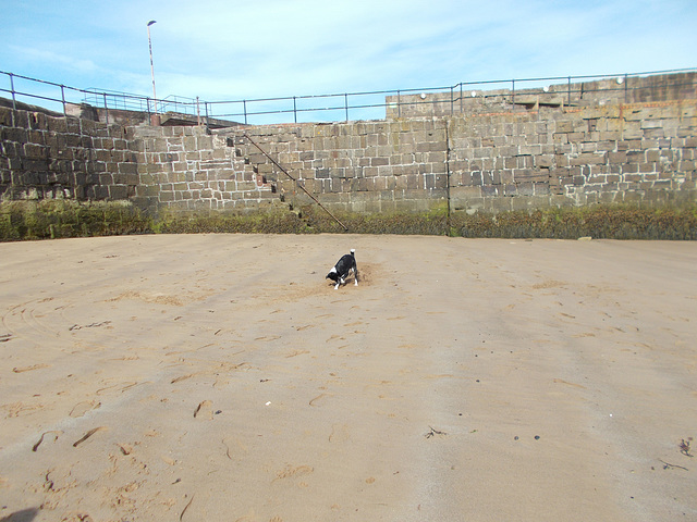 BtC - Bella's Beach Ball {6 of 11}