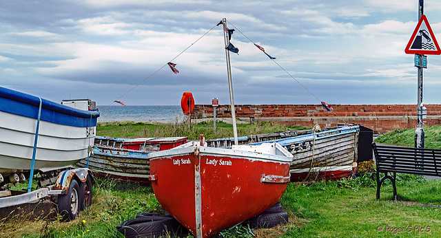 Lady Sarah & old Friends Lady Sarah & old Friends