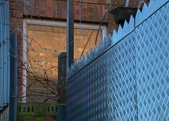 Urban Portrait 5