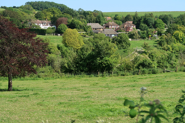 Wepham, from Burpham