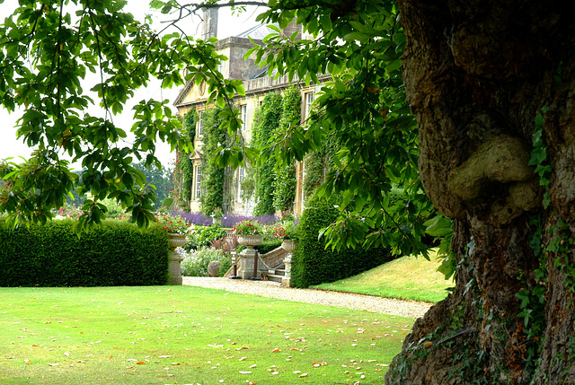 Bowood from the Tortworth Chestnut Tree