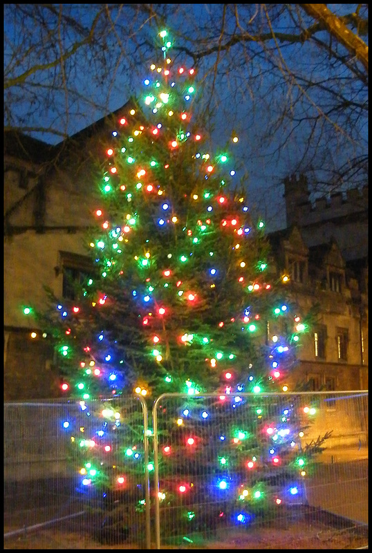 Christmas Tree 2017