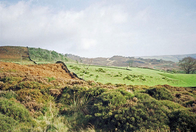 Looking towards Ramshaw Rocks from above Well Farm (Scan from October 1989)