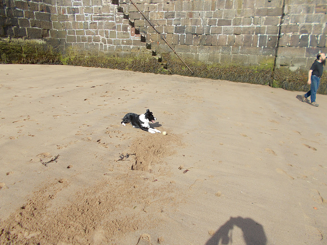 BtC - Bella's Beach Ball {10 of 11}